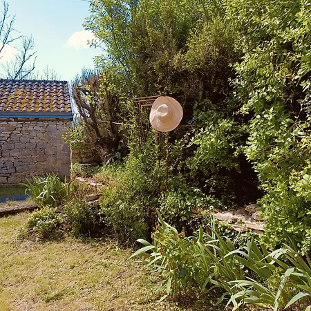 Location Palette Et Papillons En Dordogne * Sainte-Eulalie-d'Ans